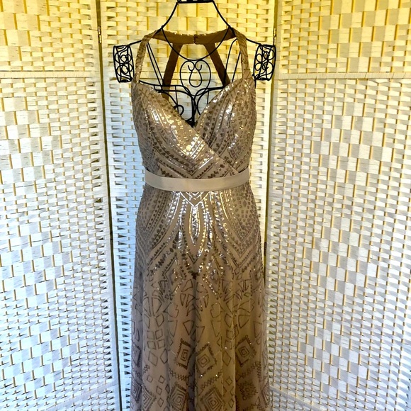 ✅ Angelina Faccenda taupe sequined formal maxi dress - Picture 5 of 16